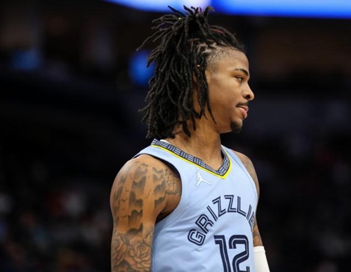 的职业生涯 的职业生涯