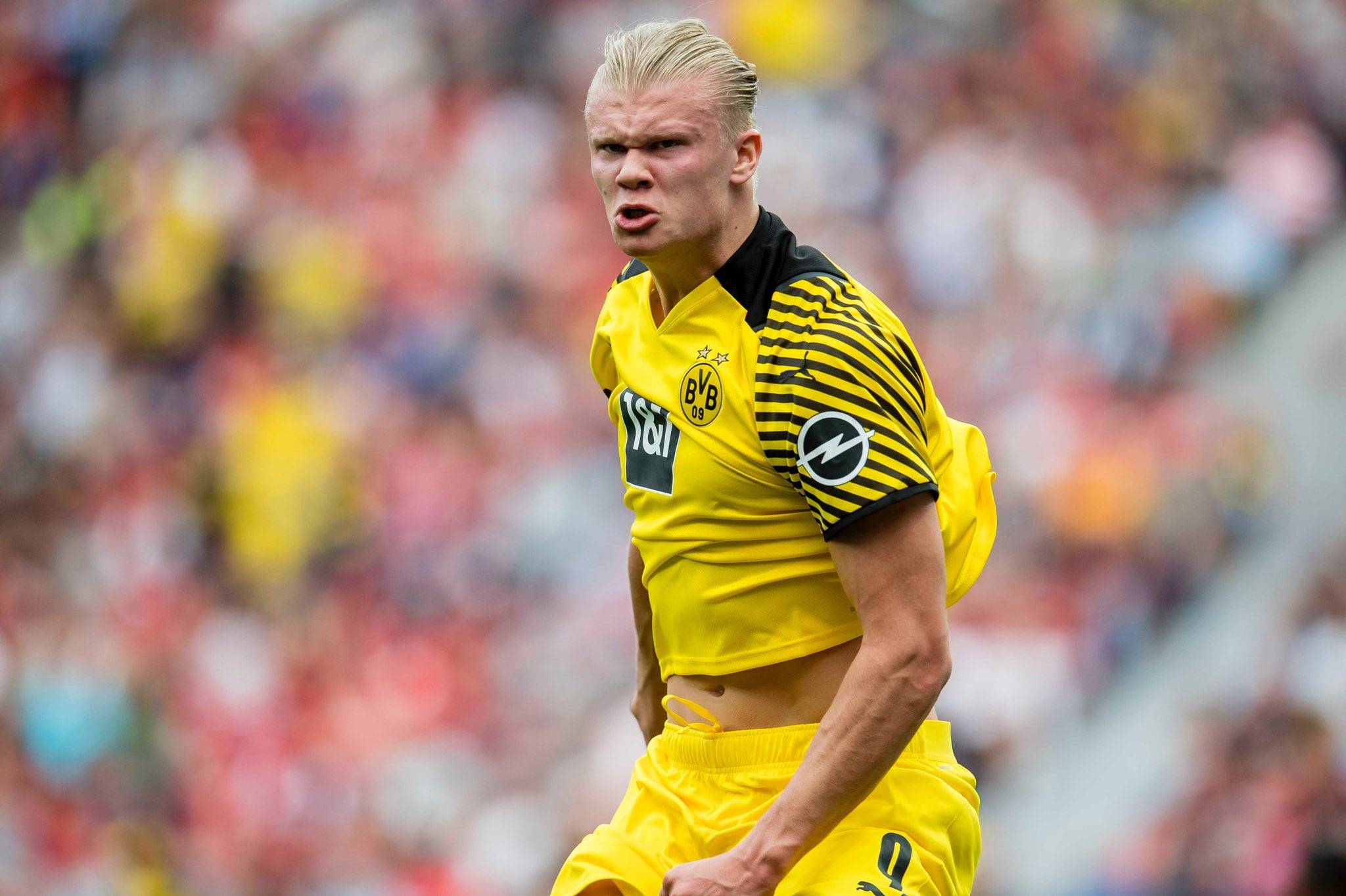 才能在信息 才能在信息